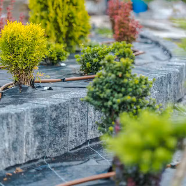 AdobeStock 299146761 1
