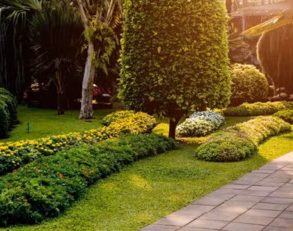 Green Landscapin 980x551 1