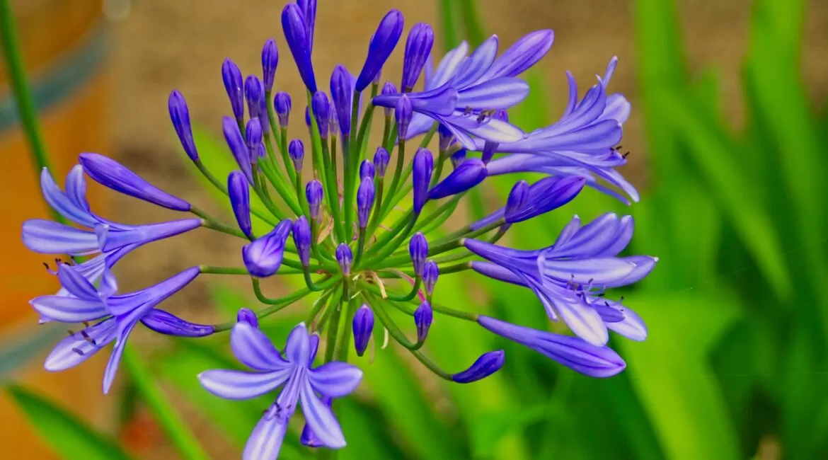 dusan veverkolog lkdKGZ5wyLo unsplash